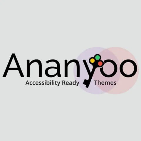Ananyoo Web Accessibility Services